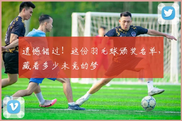 遗憾错过！这份羽毛球颁奖名单，藏着多少未竟的梦